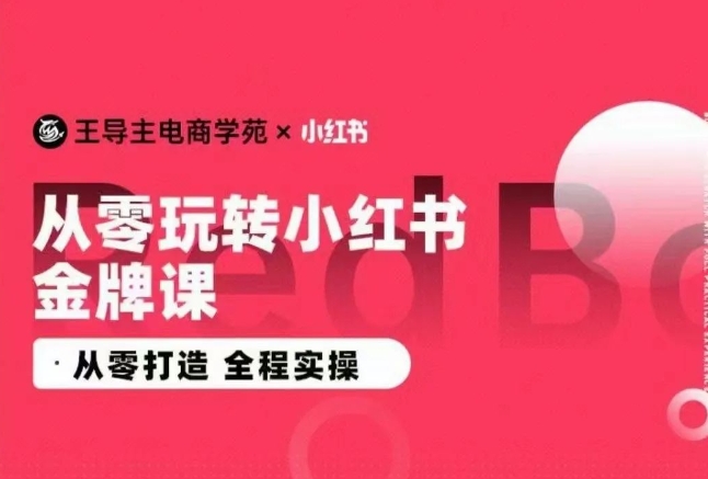 王导主·小红书电商运营实操课，​从零打造  全程实操-网创空间