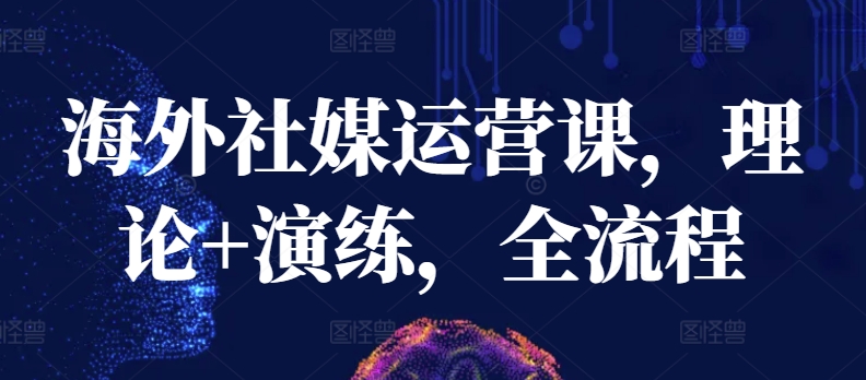 海外社媒运营课，理论+演练，全流程-网创空间