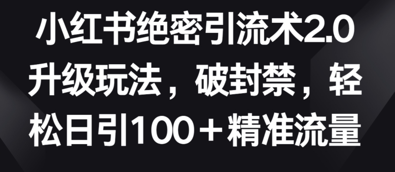 小红书绝密引流术2.0升级玩法，破封禁，轻松日引100+精准流量-网创空间