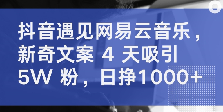 抖音遇见网易云音乐，新奇文案 4 天吸引 5W 粉，日挣1000+-网创空间