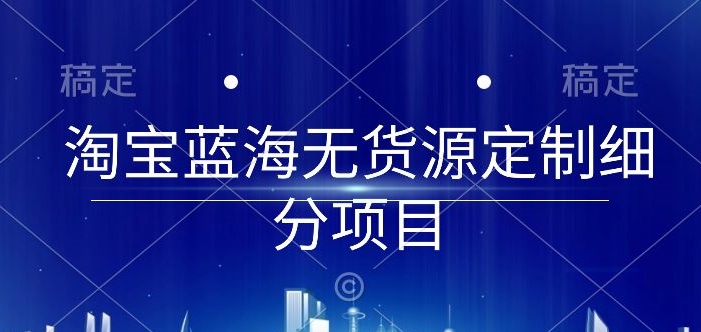淘宝蓝海无货源定制细分项目，从0到起店实操全流程-网创空间