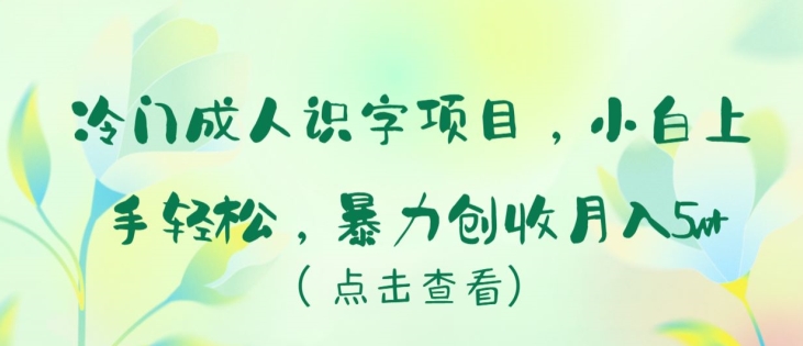 冷门成人识字项目，小白上手轻松，暴力创收月入5w+-网创空间