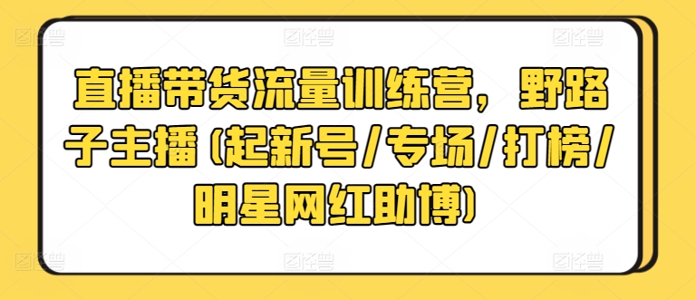 直播带货流量训练营，野路子主播(起新号/专场/打榜/明星网红助博)-网创空间