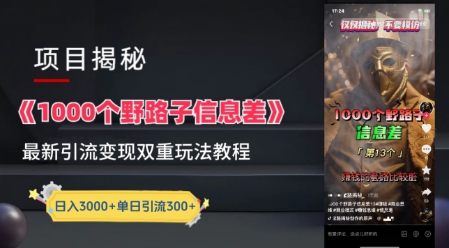 一千个野路子信息差最新玩法教程-变现+引流的玩法具体拆解-网创空间