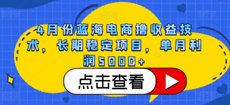 4月份蓝海电商撸收益技术，长期稳定项目，单月利润5000+-网创空间