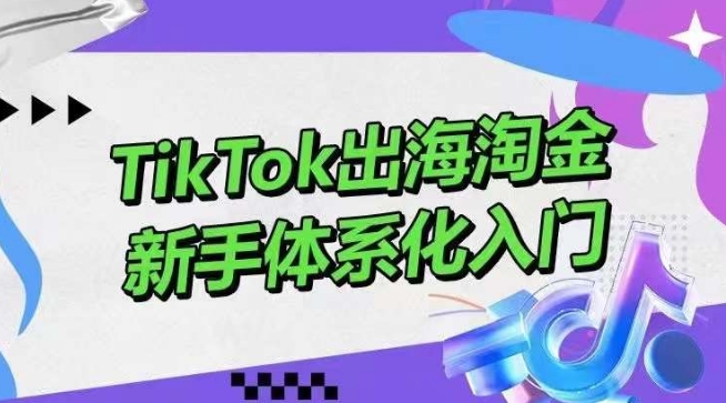 TikTok出海淘金，新手体系化入门，零基础快速入门，掌握短视频、直播带货等引流到变现的知识-网创空间