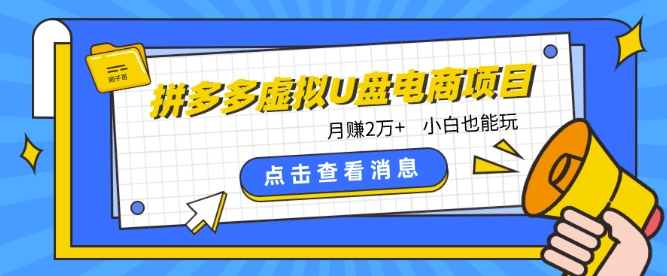 拼多多虚拟U盘电商红利项目：月赚2万+，新手小白也能玩-网创空间