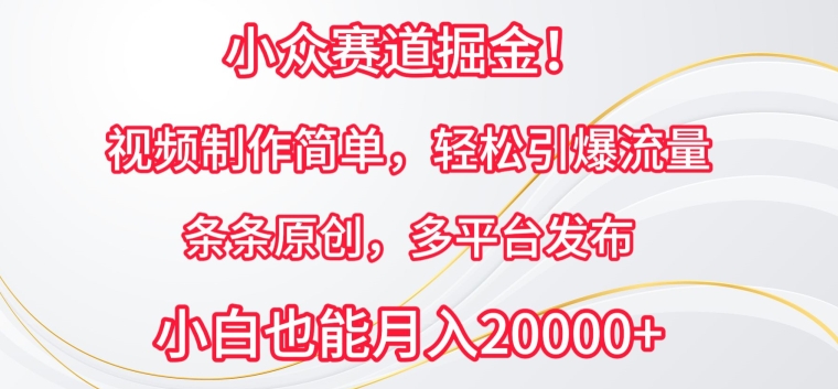 小众赛道掘金，视频制作简单，轻松引爆流量，条条原创，多平台发布-网创空间