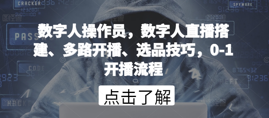 数字人操作员，数字人直播搭建、多路开播、选品技巧，0-1开播流程-网创空间
