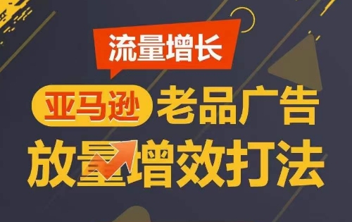 流量增长 亚马逊老品广告放量增效打法，短期内广告销量翻倍-网创空间