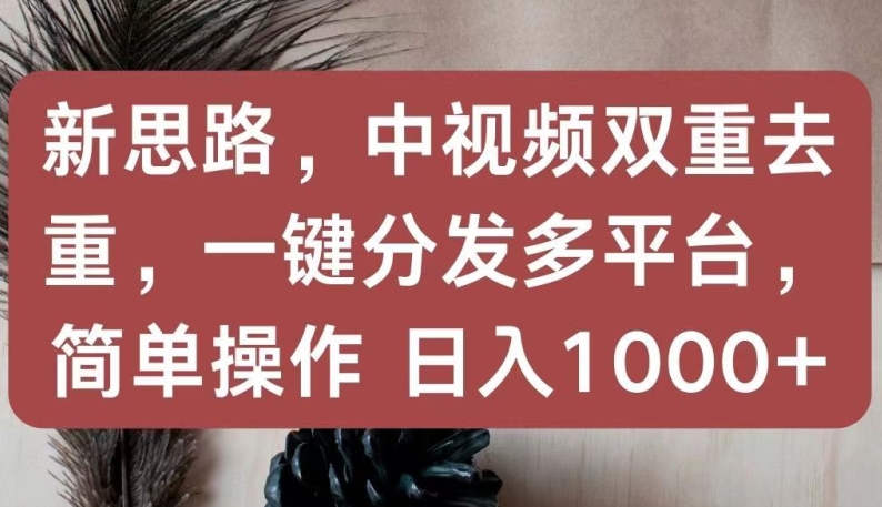 新思路，中视频双重去重，一键分发多平台，简单操作，日入1000+-网创空间