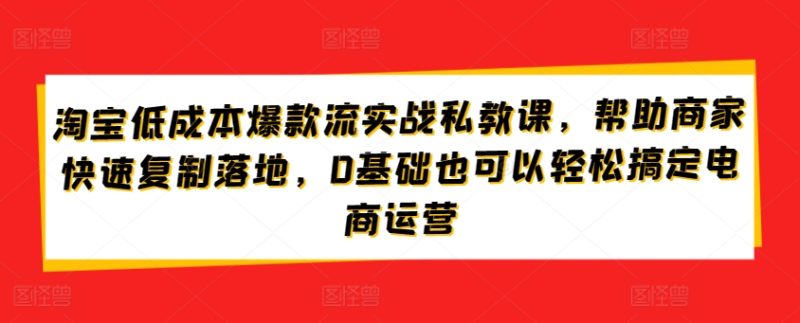 淘宝低成本爆款流实战私教课，帮助商家快速复制落地，0基础也可以轻松搞定电商运营-网创空间