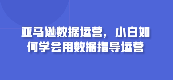 亚马逊数据运营，小白如何学会用数据指导运营-网创空间