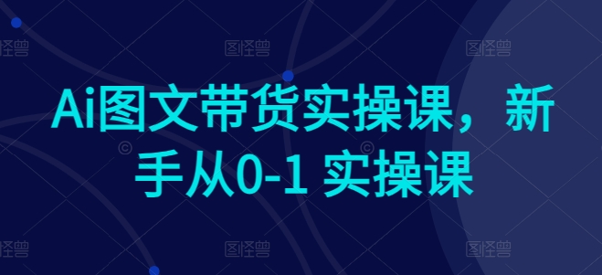 Ai图文带货实操课，新手从0-1 实操课-网创空间
