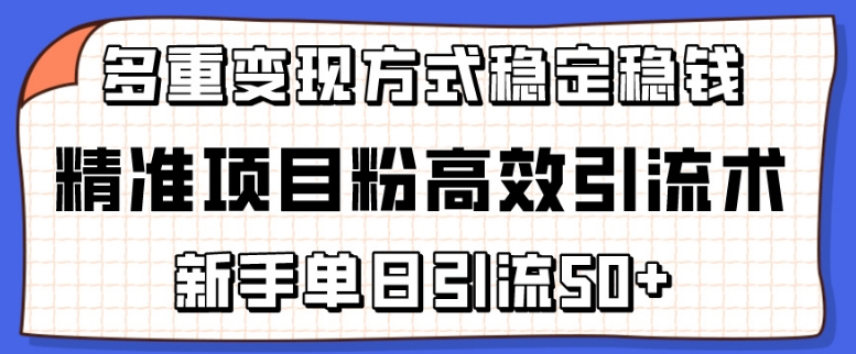 精准项目粉高效引流术，新手单日引流50+，多重变现方式稳定赚钱-网创空间