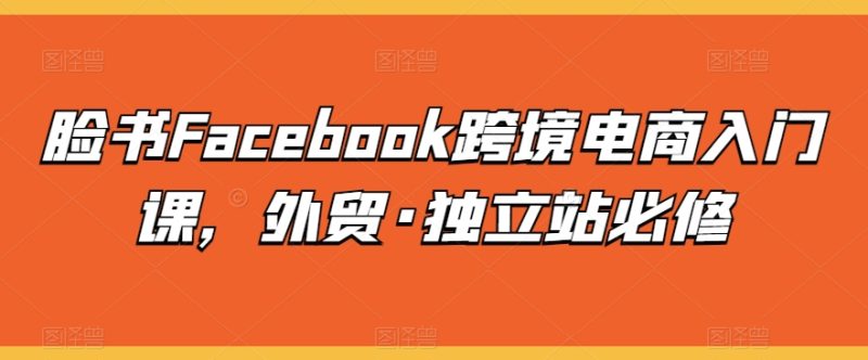 脸书Facebook跨境电商入门课，外贸·独立站必修-网创空间