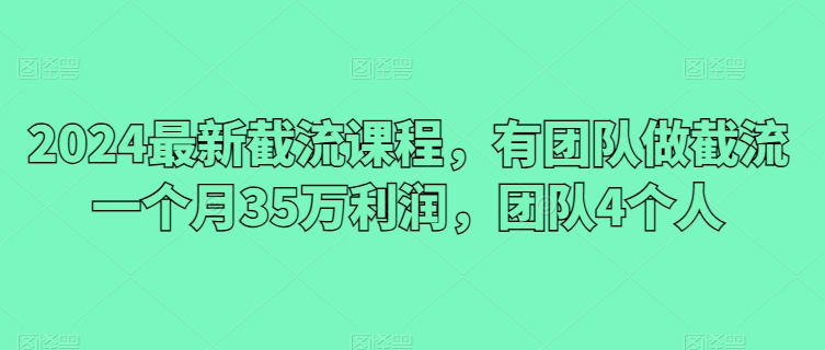 2024最新截流课程，有团队做截流一个月35万利润，团队4个人-网创空间