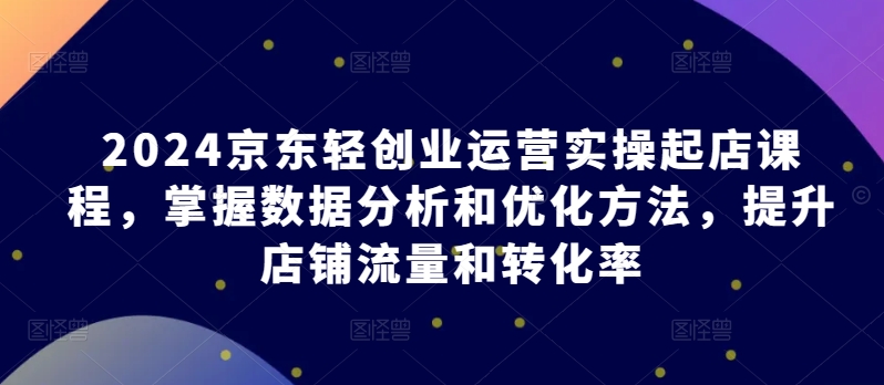 2024京东轻创业运营实操起店课程，掌握数据分析和优化方法，提升店铺流量和转化率-网创空间