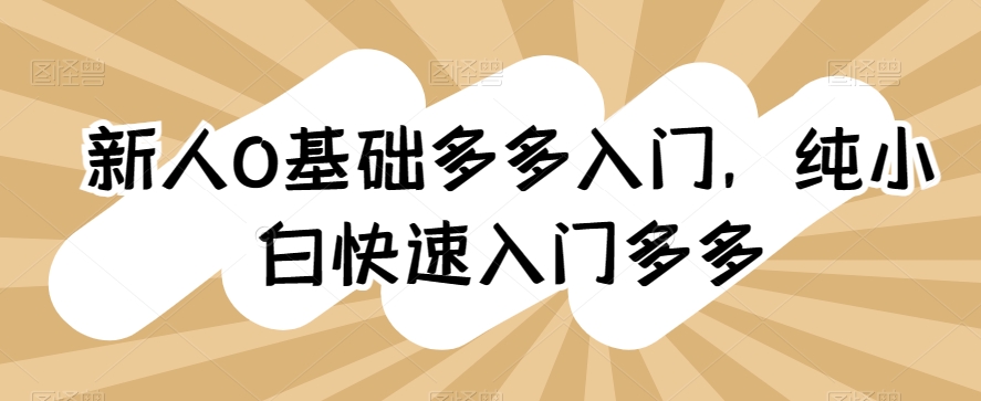 新人0基础多多入门，​纯小白快速入门多多-网创空间
