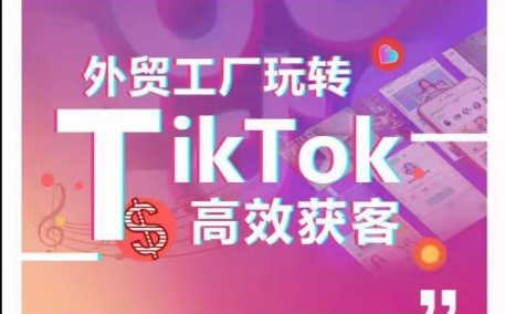 外贸工厂玩转TikTok高效获客，多种引流方式与账号定位技巧，拆解爆款短视频打造成功案例-网创空间