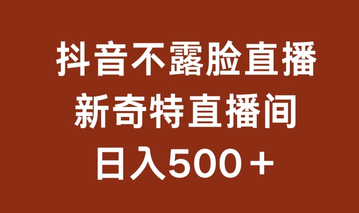 不露脸挂机直播，新奇特直播间，日入500+-网创空间
