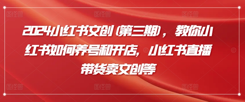 2024小红书文创(第三期)，教你小红书如何养号和开店，小红书直播带货卖文创等-网创空间