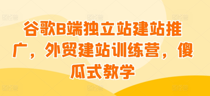 谷歌B端独立站建站推广，外贸建站训练营，傻瓜式教学-网创空间