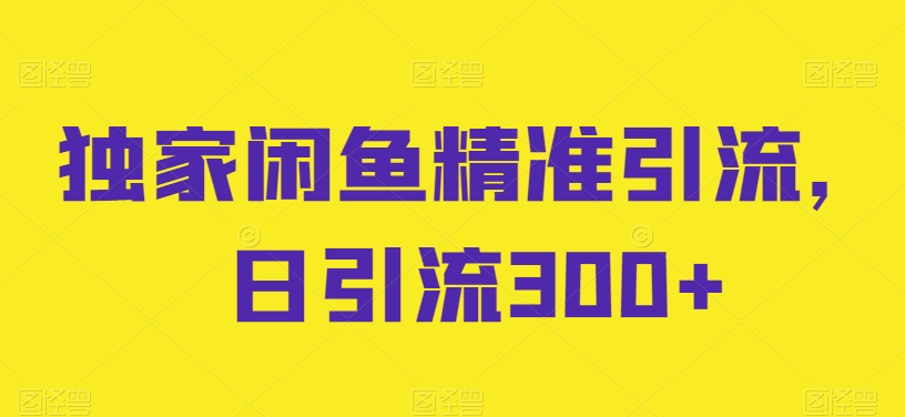 独家闲鱼精准引流，日引流300+-网创空间