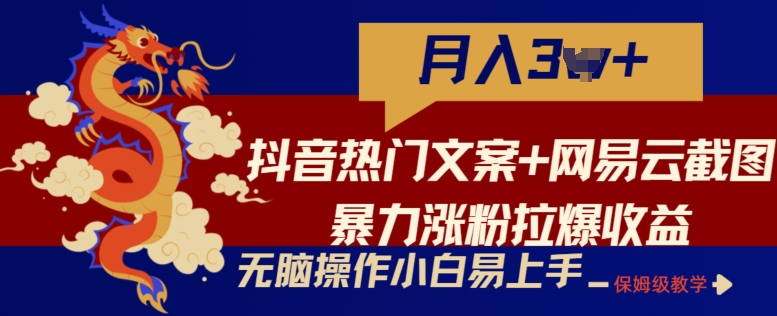 抖音热门文案+网易云截图暴力涨粉拉爆收益玩法，小白无脑操作，简单易上手-网创空间
