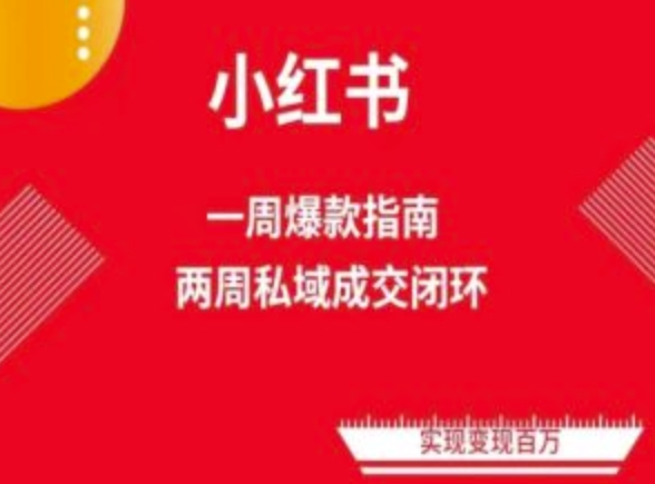 爆款小红书免费流量体系课程(两周变现)，小红书电商教程-网创空间