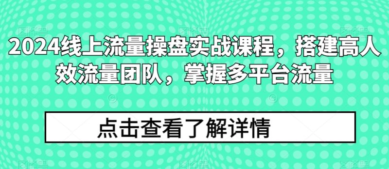 2024线上流量操盘实战课程，搭建高人效流量团队，掌握多平台流量-网创空间