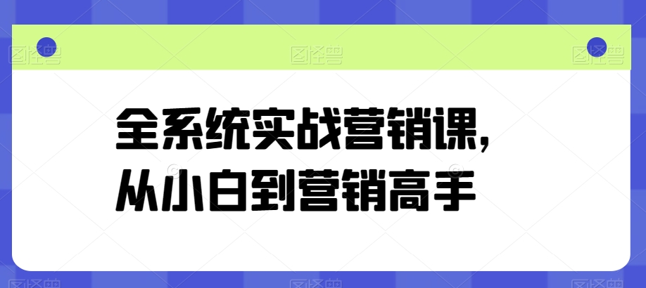 全系统实战营销课，从小白到营销高手-网创空间