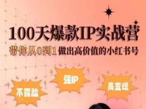 小红书100天爆款IP实战营，带你从0到1做出高价值的小红书号-网创空间