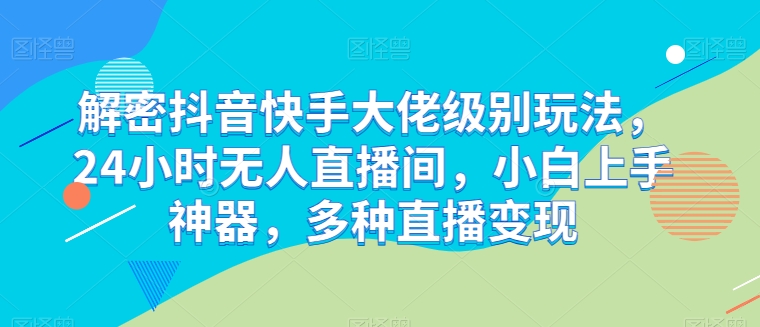 解密抖音快手大佬级别玩法，24小时无人直播间，小白上手神器，多种直播变现-网创空间