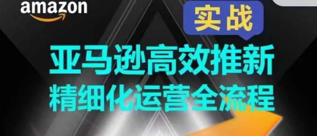 亚马逊高效推新精细化运营全流程，全方位、快速拉升产品排名和销量!-网创空间