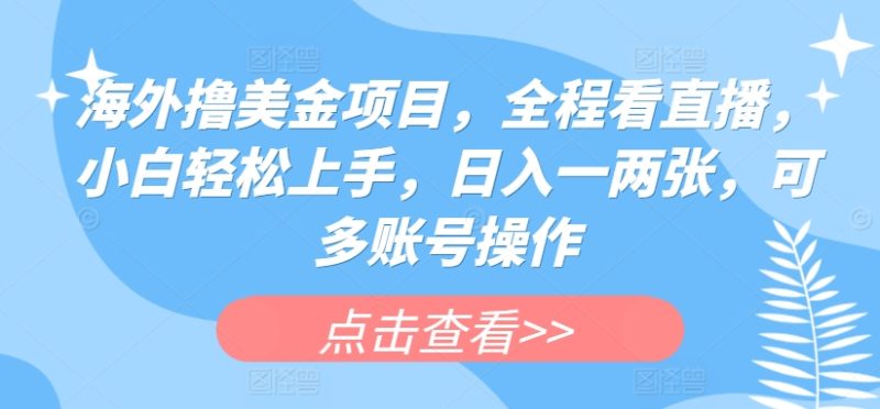 海外撸美金项目,全程看直播,小白轻松上手,日入一两张,可多账号操作-网创空间