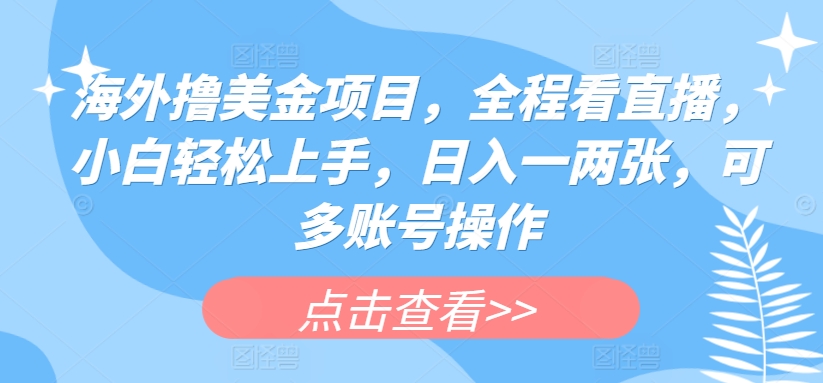 海外撸美金项目，全程看直播，小白轻松上手，日入一两张，可多账号操作-网创空间