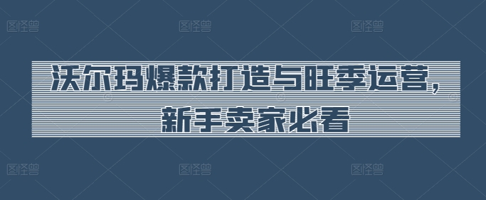 沃尔玛爆款打造与旺季运营，新手卖家必看-网创空间