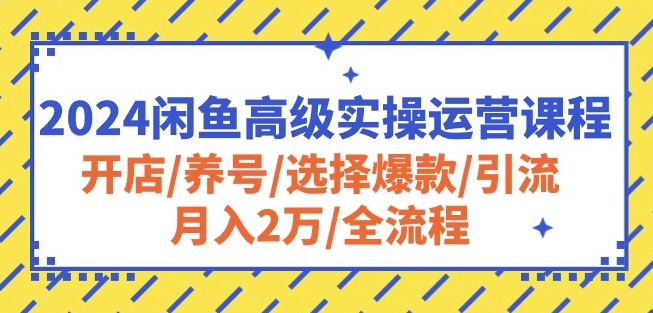 2024闲鱼高级实操运营课程：开店/养号/选择爆款/引流/月入2万/全流程-网创空间