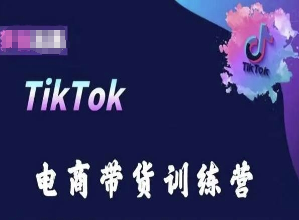 TikTok电商带货训练营，跟随时代潮流，跨境掘金-网创空间