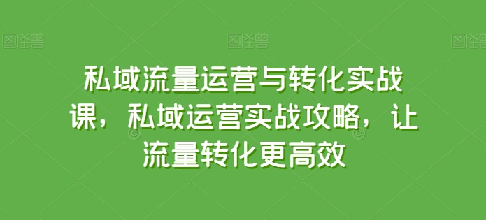 私域流量运营与转化实战课，私域运营实战攻略，让流量转化更高效-网创空间