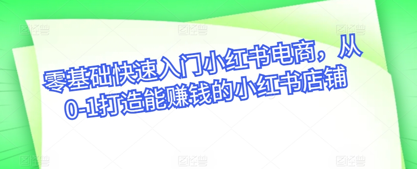 零基础快速入门小红书电商，从0-1打造能赚钱的小红书店铺-网创空间