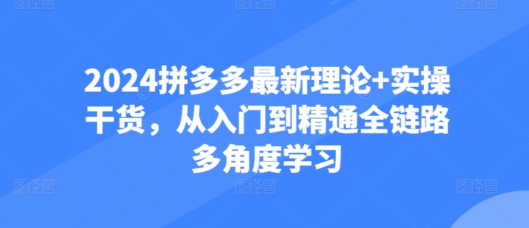 2024拼多多最新理论+实操干货，从入门到精通全链路多角度学习-网创空间