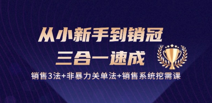 从小新手到销冠 三合一速成：销售3法+非暴力关单法+销售系统挖需课 (27节)-网创空间