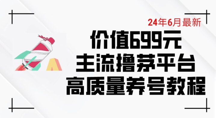 6月最新价值699的主流撸茅台平台精品养号下车攻略-网创空间