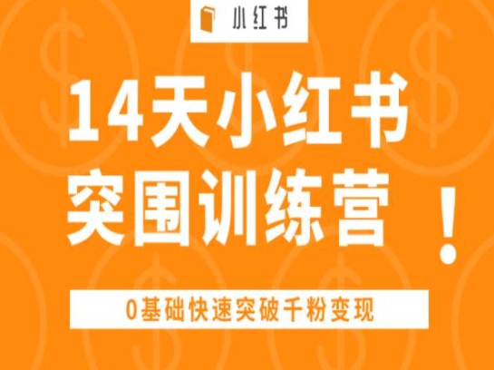 14天小红书突围训练营 ，0基础快速突破千粉变现-网创空间