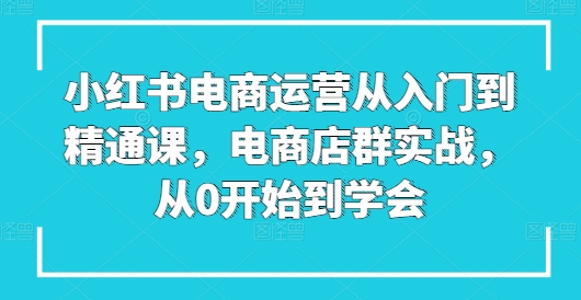 小红书电商运营从入门到精通课，电商店群实战，从0开始到学会-网创空间