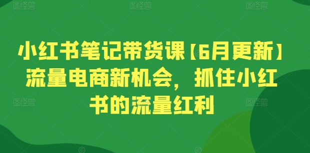 小红书笔记带货课【6月更新】流量电商新机会，抓住小红书的流量红利-网创空间