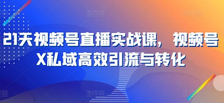 21天视频号直播实战课，视频号X私域高效引流与转化-网创空间