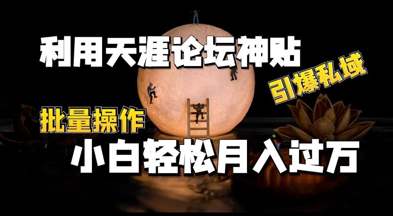 利用天涯论坛神贴，引爆私域，批量操作，小白轻松月入过w【揭秘】-网创空间